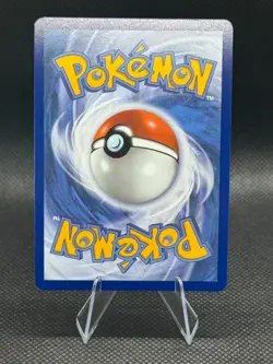 Pokemon 151 Blooming Waters Premium Collection 5 Promo Cards Jumbo Blastoise - Image 5