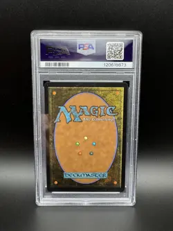SpongeBob SquarePants MTG Secret Lair Rainbow Foil - PSA 8 | 2025 Magic - Image 2