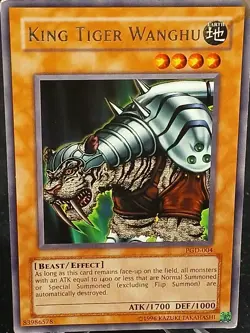 Yu-Gi-Oh! King Tiger Wanghu PGD-004 R MP - Image 1