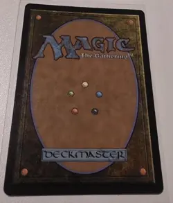 Fierce Guardianship (Showcase) Avatar: The Last Airbender: Eternal-Legal Regular - Image 2