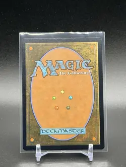 Spider-Punk, Borderless Art Foil 0207, Spider-Man Marvel Magic, MTG - Image 2