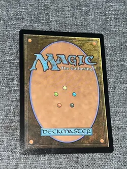 Shadow, Mysterious Assassin - FIC 0050 NM - MTG Magic Non Foil - Image 2