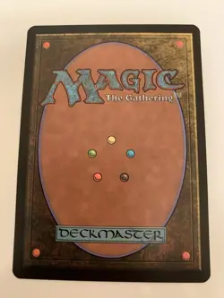 MTG NM Steelshaper's Gift Fifth Dawn Free Shipping In The US with Tracking - Image 2