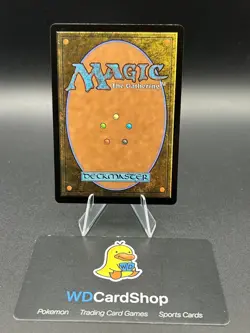 Accumulate Wisdom (Foil) - 44 - Avatar: The Last Airbender- Near Mint - MTG - Image 2