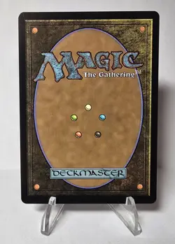 MTG Mystic Remora (Borderless) - Avatar: The Last Airbender: Eternal-Legal NM - Image 2