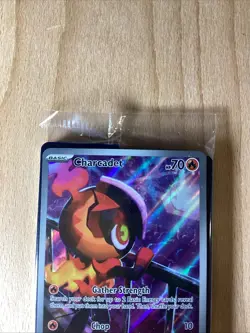 Phantasmal Flames Charcadet 022 Pokemon Black Star Promo Sealed - Image 2