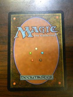 Mtg Magic The Gathering Hunting Grounds Judgement Rare LP-Excellent Condition - Image 2