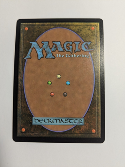 Choco, Seeker of Paradise 569 Borderless Chocobo Track Foil Final Fantasy MTG - Image 2