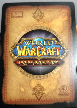 World of WarCraft WOW 224 DOUBLES Lightly Played CCG TCG card lot - Image 4