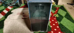 Pokemon Twilight Masquerade Elite Trainer Box (ETB) New & Sealed - Image 3