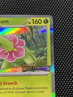 Meganium 001 Black Star Promo Stamped Prerelease Mega Evolutions Pokemon MEP NM - Image 3