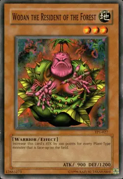 YUGIOH WODAN THE RESIDENT OF THE FOREST Common TP1-E027 Lightly Played LP - Image 1