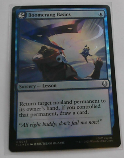 Boomerang Basics - Foil TLA NM MTG - Image 1