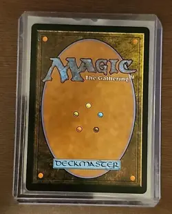 MTG - Stormchaser's Talent R - Bloomburrow - Mint - Unplayed - Image 2