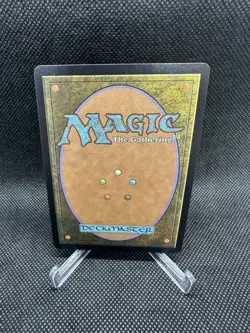 Snapcaster Mage (Borderless) Chocobo Track Foil - Final Fantasy x MTG - FIC 0469 - Image 2