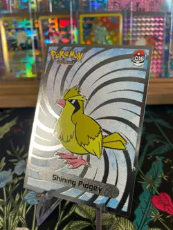 ??SHINING Pidgey Non-TCG 2024 SHINY POKEMON Card Kanto Peru Foil NM?? - Image 2