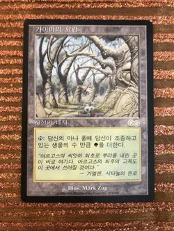 MTG - Gaea's Cradle - KOREAN VERSION - Legacy - Urza's Saga - WATCH ITEM VIDEO! - Image 1
