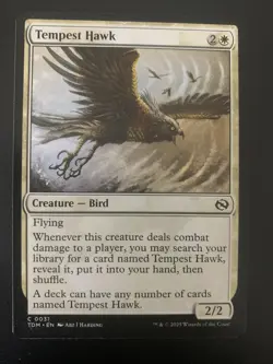 Tempest Hawk Tarkir: Dragonstorm Regular - Image 1