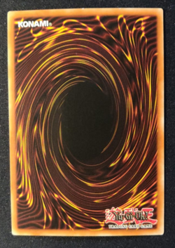 ✨ YU-GI-OH! | Maestra delle Catene Amazoness Secret Rara NM RP01-IT097 | ITA ✨ - Image 2