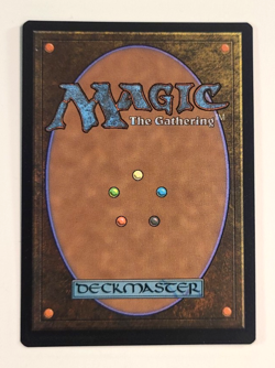 MTG - English - Will the Wise - NM Foil - Secret Lair - Magic the Gathering_4 - Image 2