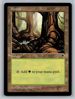 Forest (Pond) NM Tempest Magic the Gathering MTG - Image 1