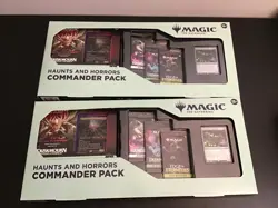Lot of 2 MTG - Endless Punishment - Commander Deck - EXCLUSIVE MAGIC BUNDLE - Image 1