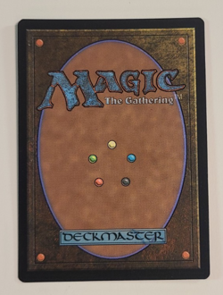 MTG - English - Will the Wise - NM Foil - Secret Lair - Magic the Gathering_3 - Image 2