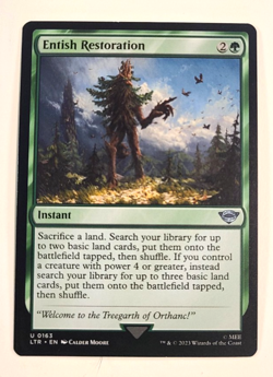 Entish Restoration - Near Mint - Lord of the Rings - 163 - Magic the Gathering_2 - Image 1
