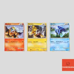 Suicune Raikou Entei Holo 060 061 059/L-P Promo 3set Japanese Pokemon(A- rank) - Image 1
