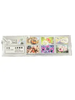 Pokemon Chinese CSV6C Mystic & Void Iron Hands Exclusive Jumbo Sealed Box - Image 4