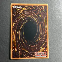 United We Stand DB1-EN244 PL - Image 2