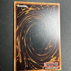 United We Stand DB1-EN244 PL - Image 3