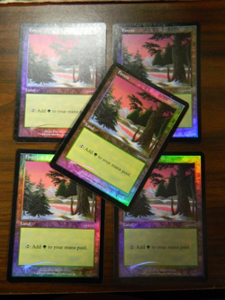 MTG FOIL DCI Promo Arena Beta Forest x5 (2001) Excellent - NM - Image 1