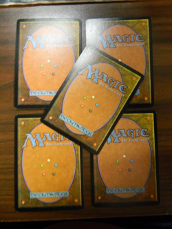 MTG FOIL DCI Promo Arena Beta Forest x5 (2001) Excellent - NM - Image 2