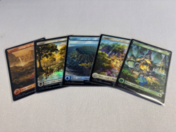 (x5) Basic Lands (Borderless Chocobo FOIL) Final Fantasy - MTG NM - Image 1