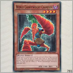 World Carrotweight Champion - SHVI-EN091 - Common 1st Edition Yugioh - Image 1