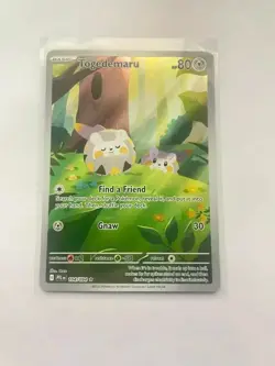 Togedemaru 104/094 Illustration Rare - Pokemon Phantasmal Flames NM - IN HAND! - Image 1