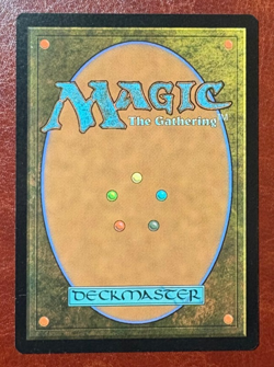 x1 NM BORDERLESS Windswept Heath - 0360 R MH3 - MTG Magic Never Played - Image 2