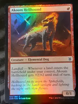 Akoum Hellhound FOIL , Zendikar Rising , Near Mint , MTG, FREE SHIPPING - Image 1