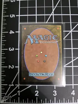 Forest 0296 Borderless Foil MTG Avatar: The Last Airbender NM/M - Image 2
