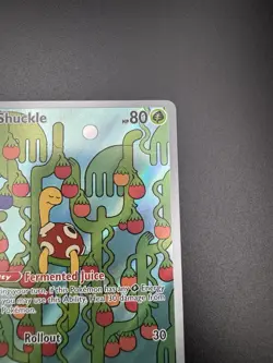 Shuckle 136/132 Mega Evolution Illustration Rare Pokemon TCG NM - Image 3