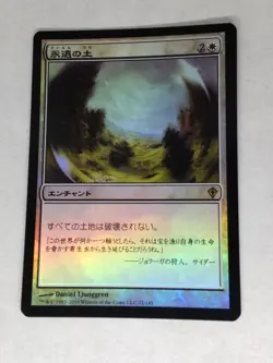 MTG Terra Eternal FOIL Japanese - WWK - - Image 1