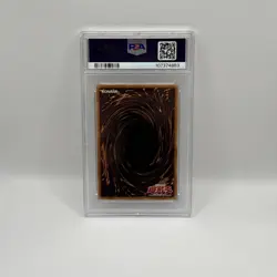 DARK MAGICIAN 1st Edition SDY-006 AE Ultra Rare PSA 6 EX-MT 2002 Yu-Gi-Oh! - Image 2