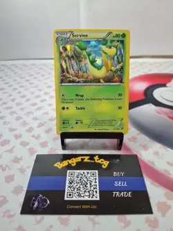 Servine (Cracked Ice Holo) - 3/114 Misc. Cards & Products - LP - POKEMON TCG - Image 1