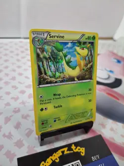Servine (Cracked Ice Holo) - 3/114 Misc. Cards & Products - LP - POKEMON TCG - Image 2