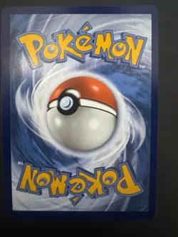 Pokemon TCG Blaziken v TG14/TG30 Holo Ultra Rare Silver Tempest Trainer Gallery - Image 2