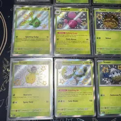 Pokemon Paldean Fates Lot of 9 Cards Shiny & Baby Shiny Holo Mint (English) TCG - Image 5