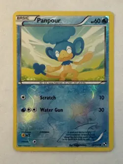 Panpour 33/114 Double Album Box Reverse Holo Promo Pokemon Black White NM/ M - Image 2