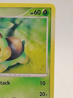Turtwig 131/147 Common Platinum Supreme Victors Non-Holo Pokemon Card - Image 3