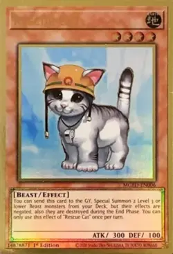 Rescue Cat - MGED-EN006 - Premium Gold Rare - 1st Edition Near Mint Yugioh! Card - Image 1